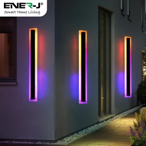 60 x 8 cms size Outdoor Acrylic Black Wall Lights, 12W Waterproof IP65 RGB