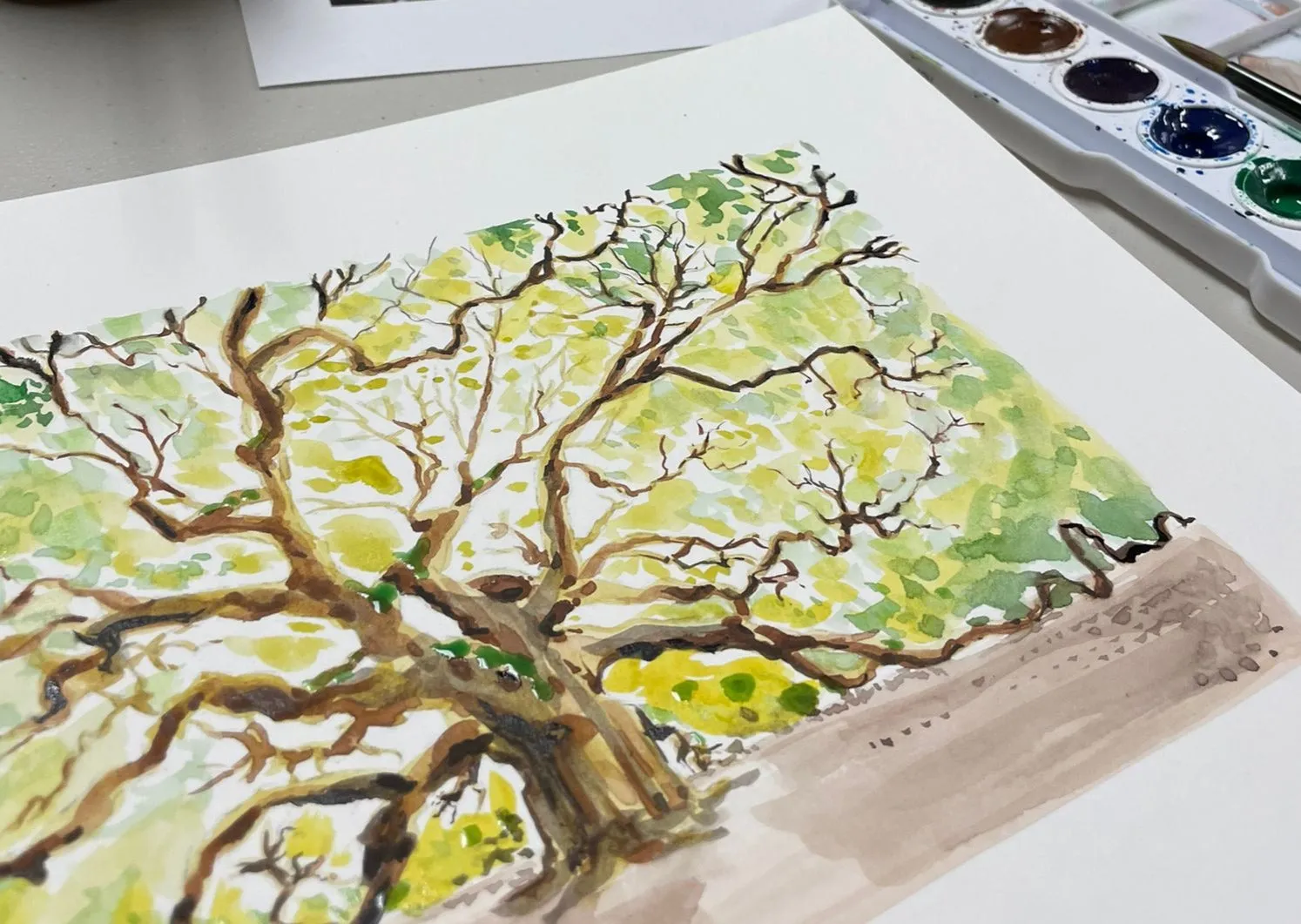 Beginning Watercolor for Adults MORNING