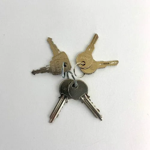 Cold Room Replacement Key