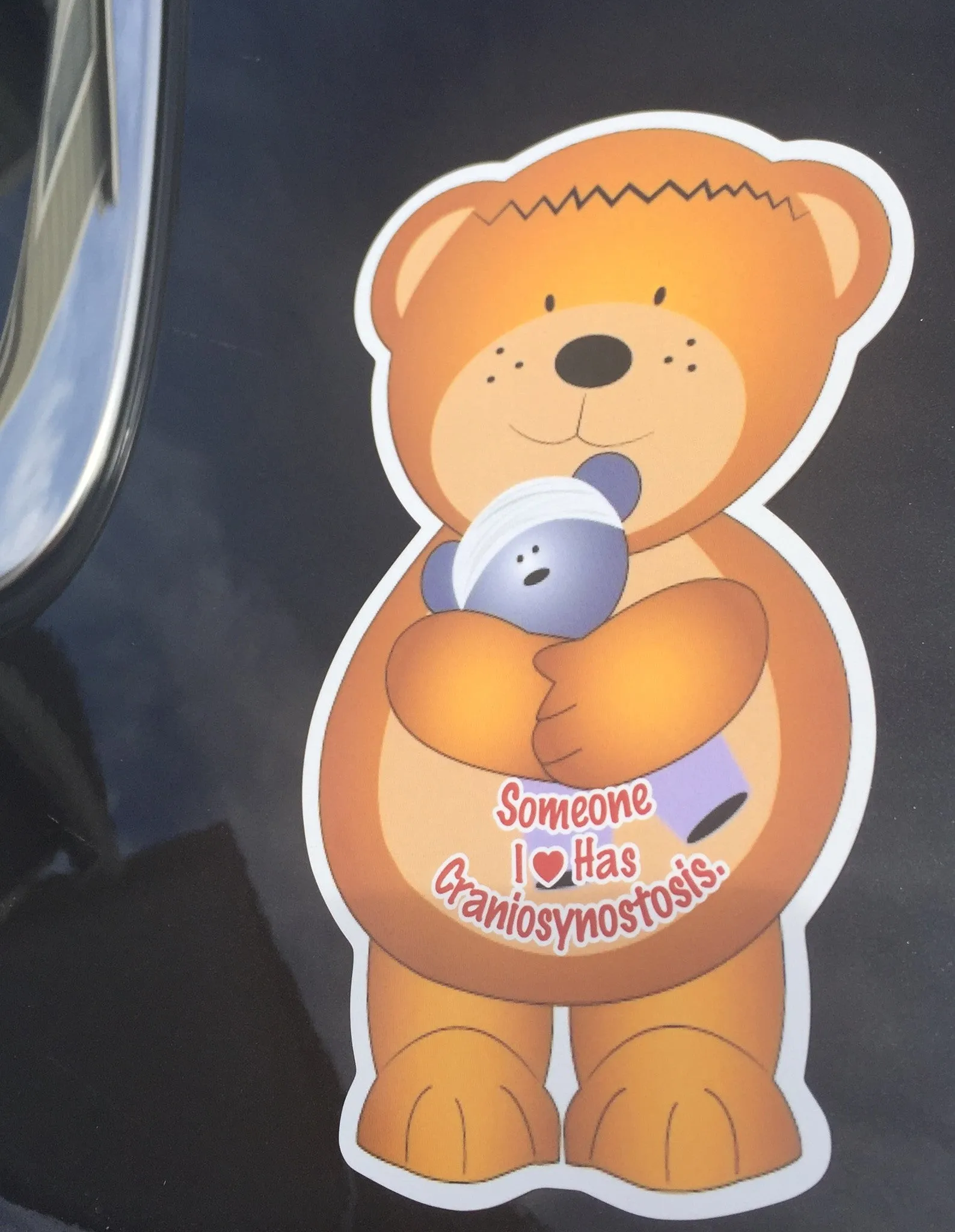 Cranio Bear Car Magnet