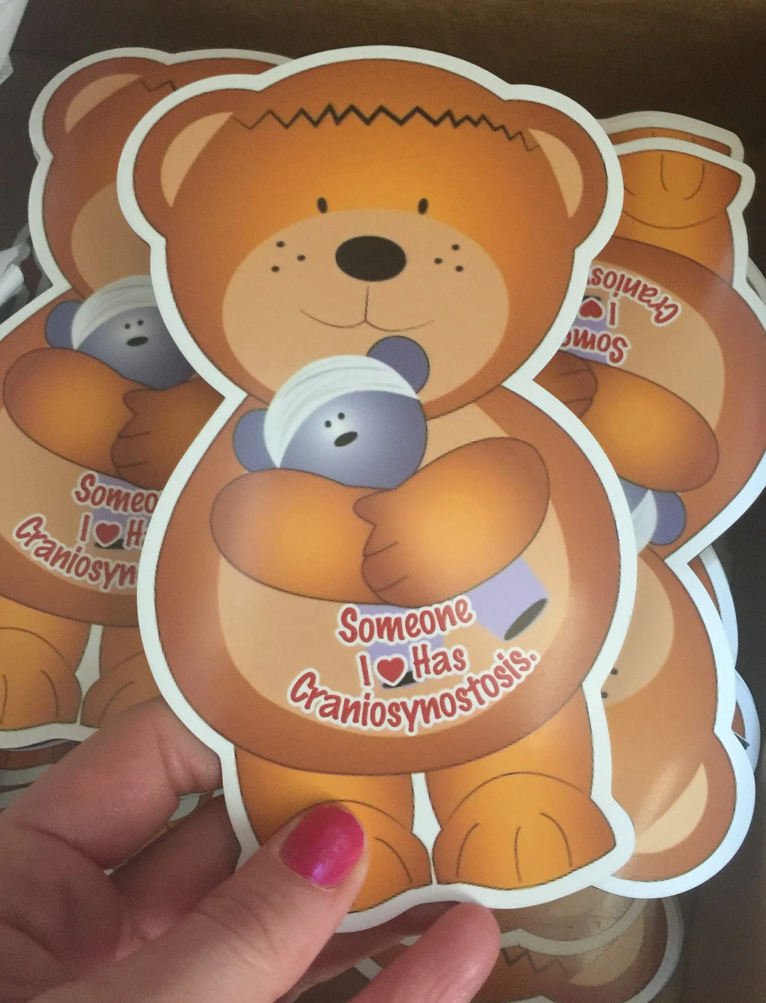 Cranio Bear Car Magnet