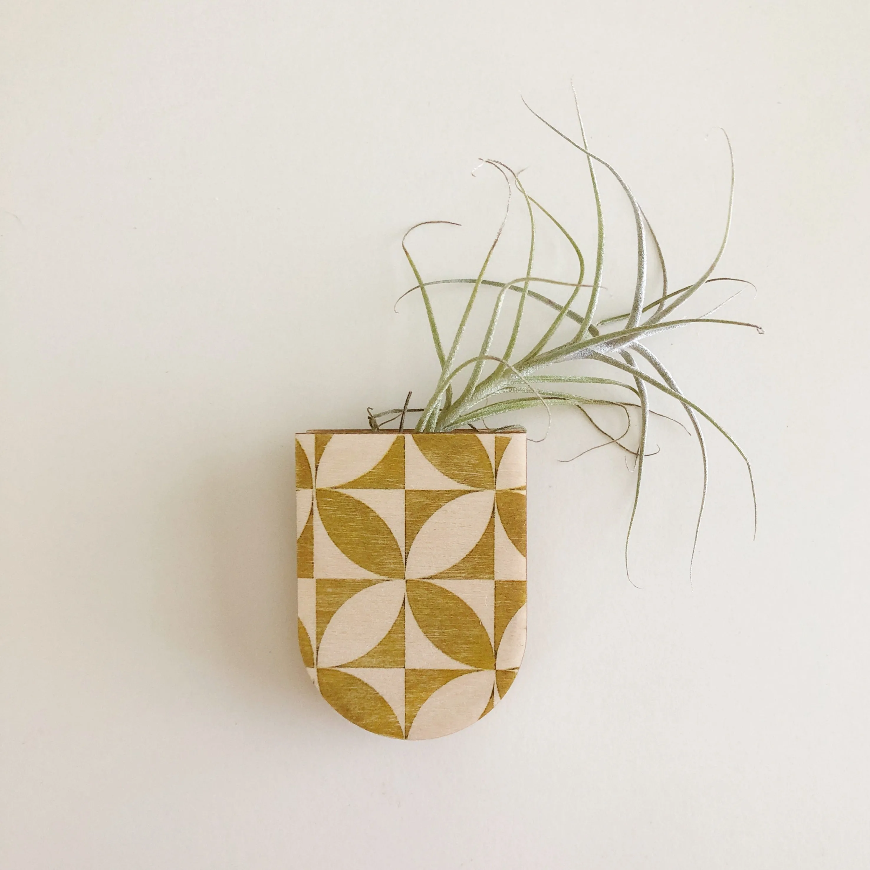 Mini Magnetic Planter Pot - Petals