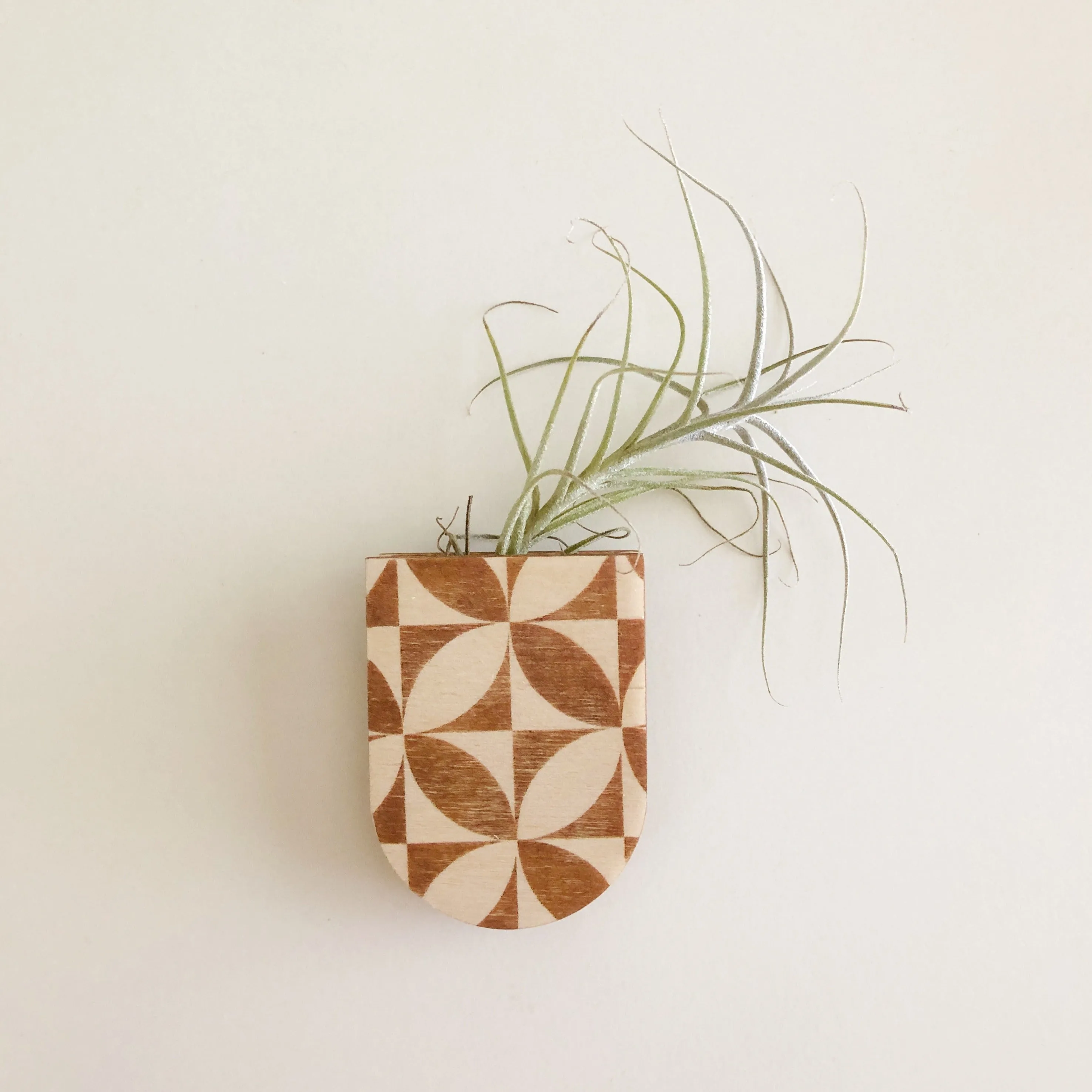 Mini Magnetic Planter Pot - Petals