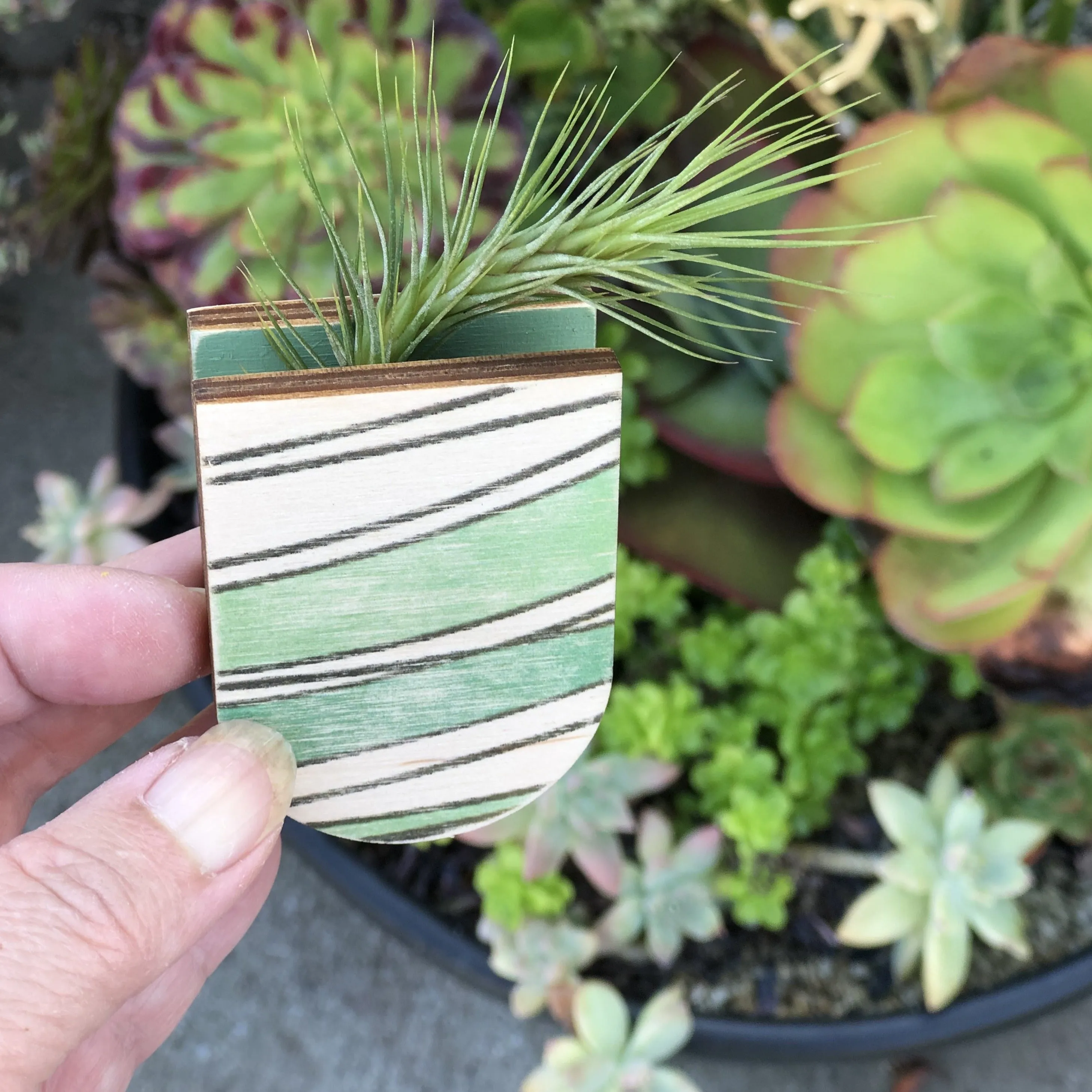 Mini Magnetic Planter Pot