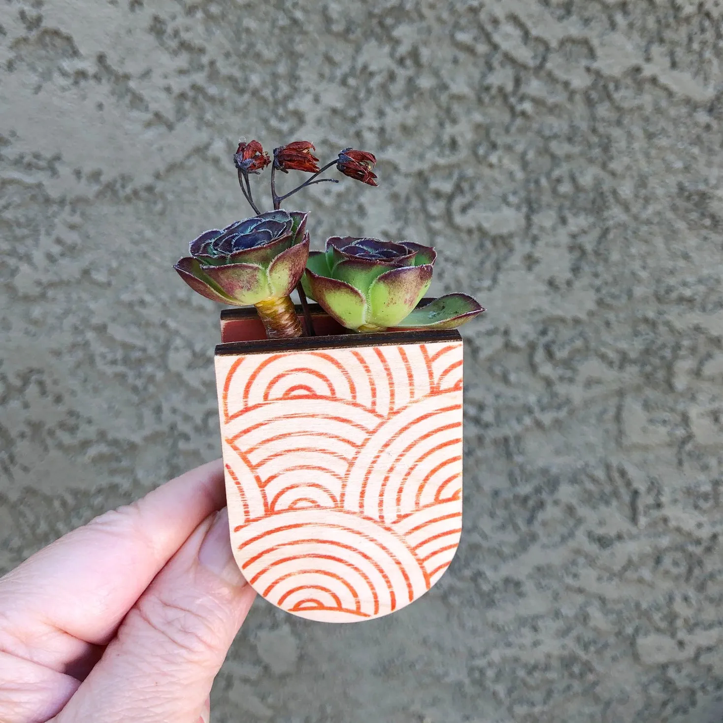 Mini Magnetic Planter Pot