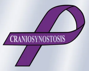 Small Craniosynostosis Ribbon Window Cling