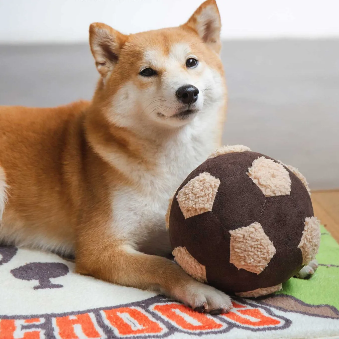 TOUCHDOG Rectangle Resting Mat