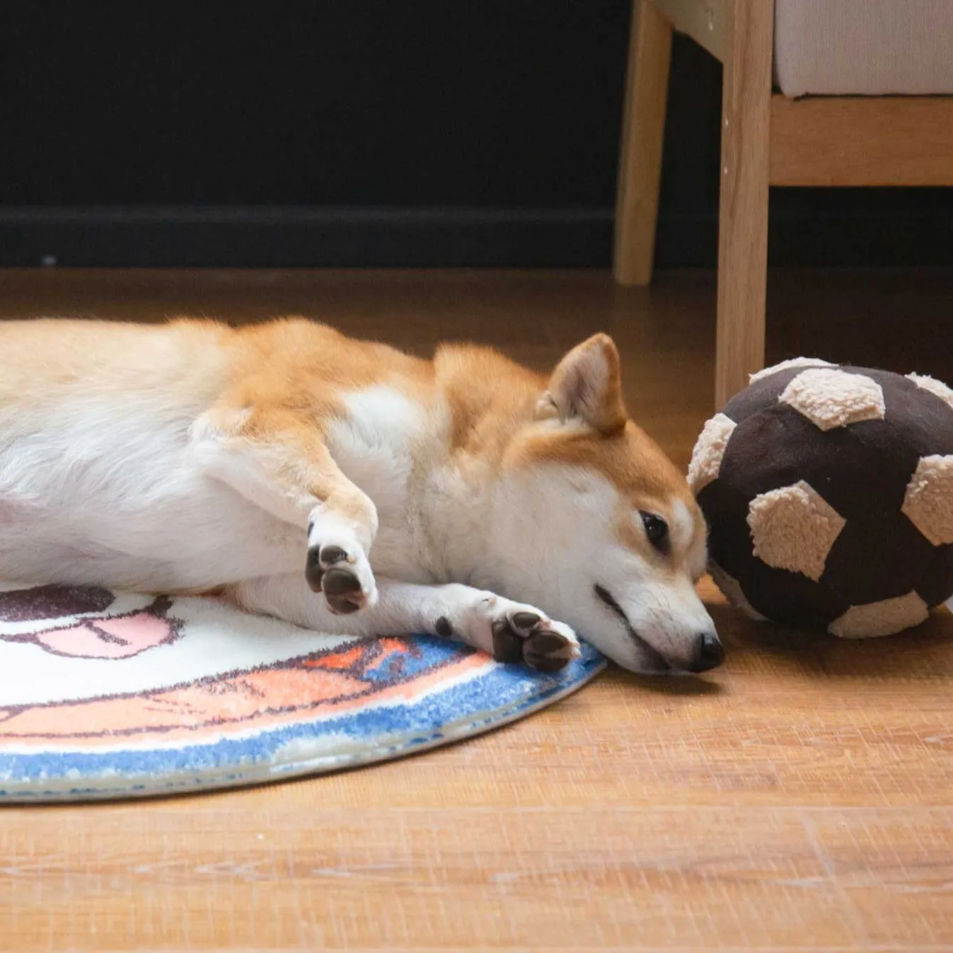 TOUCHDOG Round Resting Mat