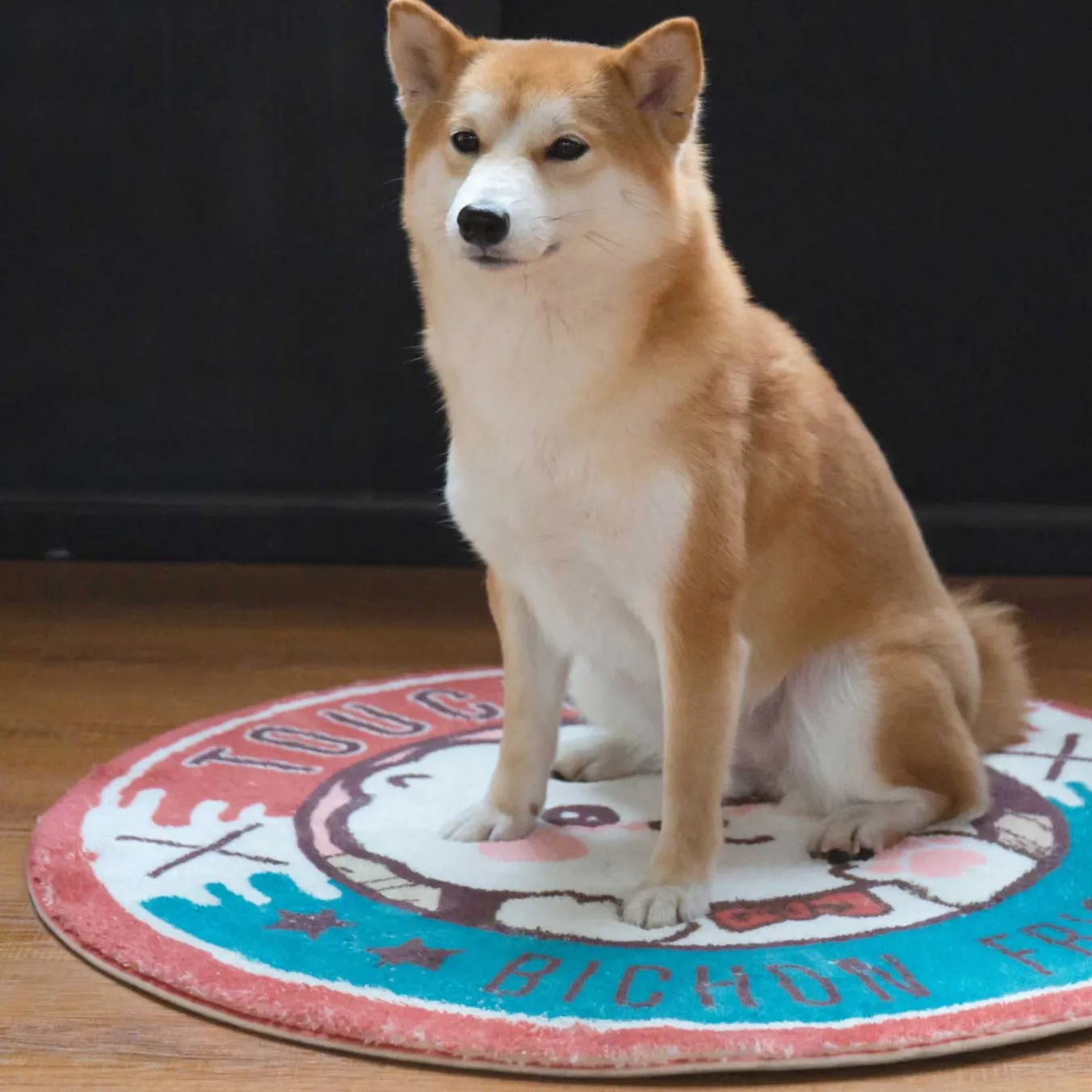 TOUCHDOG Round Resting Mat