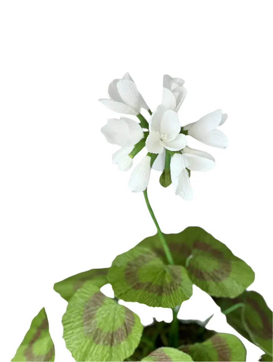 White Geranium Paper Sculpture